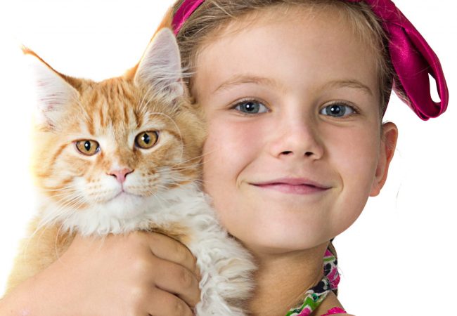 happy beautiful little  girl huging cat  smiling isolates on white studio shot looking at camera