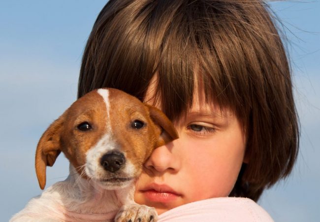 dreamstime_l_19952768