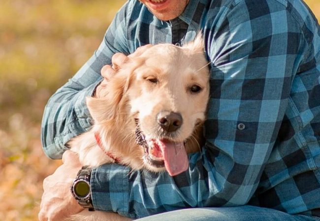 Portrait of young man sitting hugging with golden retriever dog. Friendship, pet and human. Man playing with dog outdoors