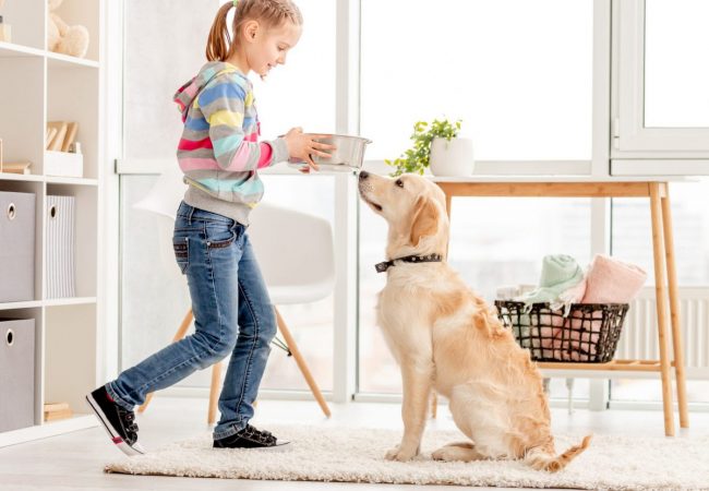 dreamstime_l_171891865